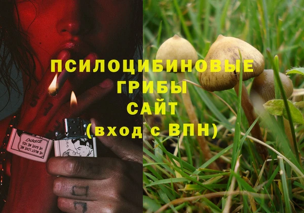 сатива Бронницы