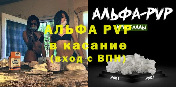 сатива Бронницы